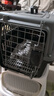 腆宠宠物航空箱小号 猫咪航空箱猫狗 猫包猫笼外出车载猫箱狗狗托运 实拍图