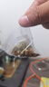 南同四海同仁堂菊花枸杞决明子茶清热茶包肝草袋冷泡熬夜养生茶150g 实拍图
