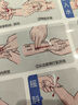 张素芳小儿推拿实用挂图 实拍图