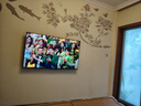 松下（Panasonic）LX600 55英寸 丽可彩4K AI智能语音 悬浮全面屏MEMC HDR10 开机无广告电视 TH-55LX600C 实拍图