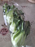 上海青（油菜）约500g 实拍图