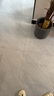【晶晶猴】家政保洁上门服务日常深度擦玻璃开荒厨房卫生间小时工保洁服务家政服务阿姨到家专业打扫 3小时宠物保洁 全国（联系客服预约时间） 实拍图