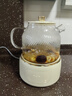 World Kitchen康宁养生壶全玻璃恒温壶煮茶壶煮茶器1L办公室必备家用花茶壶炖煮烧水壶电热水壶煮水壶（标准款） 实拍图