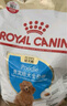 皇家狗粮 贵宾幼犬狗粮 犬粮 宠物小型犬 APD33 全价犬粮 2-10月 3KG 实拍图