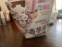 海河（HAI  HE）牛奶混合口味牛角包220ml*10袋儿童早餐奶风味新鲜乳品 实拍图
