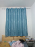 现代简约遮光窗帘加厚卧室窗帘客厅阳台隔断帘窗帘（不带杆） 发财树-天蓝色 宽2米*2.2米高一片【打孔款】 实拍图