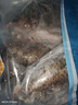 翔泰海南三去罗非鱼/海南鲷1400g/共4条免处理 生鲜鱼类 海鲜水产  实拍图