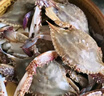 至鲜 梭子蟹2.6斤/6-8只整只当季液氮冷冻梭子蟹3-5两/只吕四黄海海鲜螃蟹新鲜 实拍图