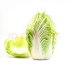 大白菜约2kg 实拍图
