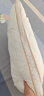 洁丽雅（Grace）纤维枕 星级酒店枕头枕芯 46*72cm 一对装（2只装） 实拍图