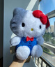 Hello Kitty三丽鸥毛绒玩具布娃娃玩偶钥匙扣中秋节礼物生日礼物 凯蒂猫公仔 实拍图