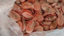 东上御品 腹籽北极甜虾 格陵兰进口 熟冻甜虾105-135只净重3斤装-源头直发 实拍图