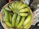 驻晨（ZHUCHEN）云南高山大香蕉10斤装 香甜软糯自然熟青蕉香蕉当季新鲜水果整箱 精选大香蕉10斤装-（净重 8.5斤 ） 实拍图