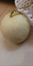 京鲜生 大漠蜜瓜系列 大漠玉菇甜瓜 2枚 净重6-7斤 水果蜜瓜 源头直发 实拍图