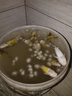 松宝（sobo）鱼缸氧气泵增氧泵家用养鱼增氧器充电打氧泵 SB-228双孔2W 实拍图