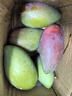 甜萌果蔬贵妃芒【现货】芒果现摘当季红金龙辣椒甜心芒海南孕妇新鲜水果 3斤甄选装【单果约150g+】净重2.5斤 实拍图