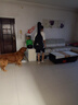 李宁板鞋男鞋秋冬低帮厚底增高小白鞋滑板鞋潮流百搭休闲运动鞋 【元宝V3】米白/黑色(AGCV107)-4 43 实拍图