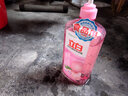 立白APG薄荷洗洁精食品用果蔬去油小苏打洗涤灵厨房餐具清洁剂洗碗液 【推荐装】APG薄荷精 1kg 2瓶 实拍图