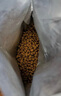 皇家室内成猫粮 I27 通用粮 12月以上 4.5KG 实拍图