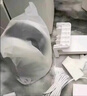 小米智能摄像机C300双摄版监控器360度无死角带夜视全景摄像头家用手机远程室内监控 实拍图