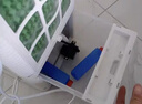 奥克斯（AUX）空调扇制冷器小空调冷风机单冷家用冷风扇宿舍办公移动冷气扇无叶风扇移动冷风机FLS-160ASR 实拍图