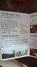 不老潭粮食酒 高度桶装浓香型泸州糯红高粱散装白酒纯粮壹号 60度 2.5L 实拍图