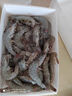 泰鲜达国产大虾 鲜冻白虾大号净重1.5kg 60-75只（40/50规格）虾类生鲜 实拍图
