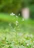 卡色（Kase）【热销已售10000+】85mmF1.4大光圈镜头全画幅人像镜头AF自动对焦适用索尼E尼康Z卡口 【送大光圈魔法镜】索尼E口全画幅 标配 实拍图