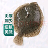 鲜活多宝鱼450-550g/条 实拍图