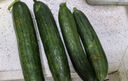 京喜加新鲜无刺水果小黄瓜小青瓜脆甜荷兰脆嫩生吃黄瓜蔬菜 水果黄瓜 1斤 实拍图
