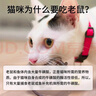 VETWISH唯特适猫咪牛磺酸冻干片视力心脏保健40g 实拍图