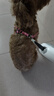 HELLOJOY宠物狗狗自动牵引绳3米伸缩溜遛狗绳子小型犬狗链泰迪猫咪 灰白 实拍图