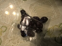 京东京造环球甄选黑金系列美国蔓越莓干整粒0添加休闲零食210g 实拍图