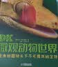 DK微观动物世界 聚焦微距镜头下不可思议的生物 中小学生推荐课外阅读课外读物科普启蒙 儿童动物百科全书 高清实拍图鉴 开学季 实拍图