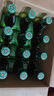 喜力经典500ml*12瓶整箱装 喜力啤酒Heineken 实拍图