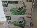 伊利【18天新鲜直达】金典纯牛奶250ml*16盒 3.6g乳蛋白 送礼盒装  实拍图