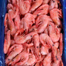 美加佳熟冻北极甜虾腹籽净重3斤 90/120规格  海鲜水产 熟冻甜虾 实拍图