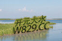 2025模拟器电子游戏 安卓苹果通用支持全部游戏合集豪华版 实拍图