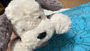Jellycat唐布利牧羊犬动物毛绒玩偶安抚玩具狗公仔送礼娃娃生日礼物摆件 浅灰色 Medium 实拍图