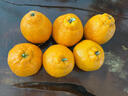 生活＆好管家四川丑橘不知火特大果新鲜水果桔橘子丑柑丑八怪整箱 4.5-5斤【超划算】净重4.5斤 果径75-80mm【中大果】 实拍图