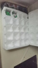 云邮牌13天活珠子20只新鲜营养鸡胚蛋喜蛋凤凰蛋熟钢化蛋毛鸡蛋 20枚 800g 实拍图