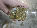 贝斯迪维生素e软胶囊100粒维生素E500mg大颗粒ve软胶囊涂斑痘印 北京同仁堂维生素E*2瓶【共200粒】 实拍图