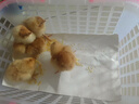 小鸡活宠物小鸡活苗家养观赏小黄鸡网红萌宠鸡活体幼崽迷你鸡幼苗 宠物小黄鸡2只 实拍图