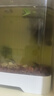 阔庭（KUOTING）鱼缸桌面透明生态鱼缸客厅水族箱白色 实拍图