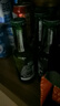 喜力经典150ml*8瓶 喜力啤酒Heineken  实拍图