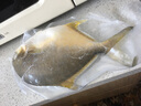 翔泰海南二去金鲳鱼700g/2条  去鳃去内脏 烧烤 生鲜鱼类  海鲜水产 实拍图