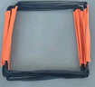 爸爸妈妈敏捷梯绳梯多功能态儿童感统训练玩具体能运动器材蝴蝶折叠跳格子 实拍图