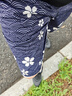 速浪沙滩裤男可下水速干宽松温泉泳裤 日式落樱（升级透气内衬款） XL 实拍图