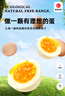 九華粮品 A+级有机富硒土鸡蛋20枚净重1.68斤 散养草鸡蛋鲜鸡蛋  礼盒 实拍图