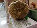 英特汉莎（interhasa!）擦手纸盒壁挂墙卫生间纸巾盒厕所抽纸盒洗手间厨房干手纸盒免打孔 实拍图